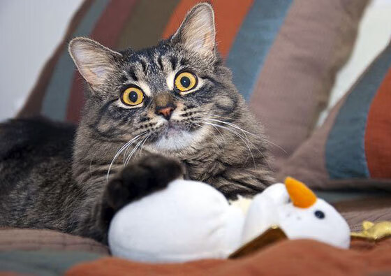 开云体育足球-西甲超级点球：紧张激烈，胜负一线间！，西班牙超级杯点球大战