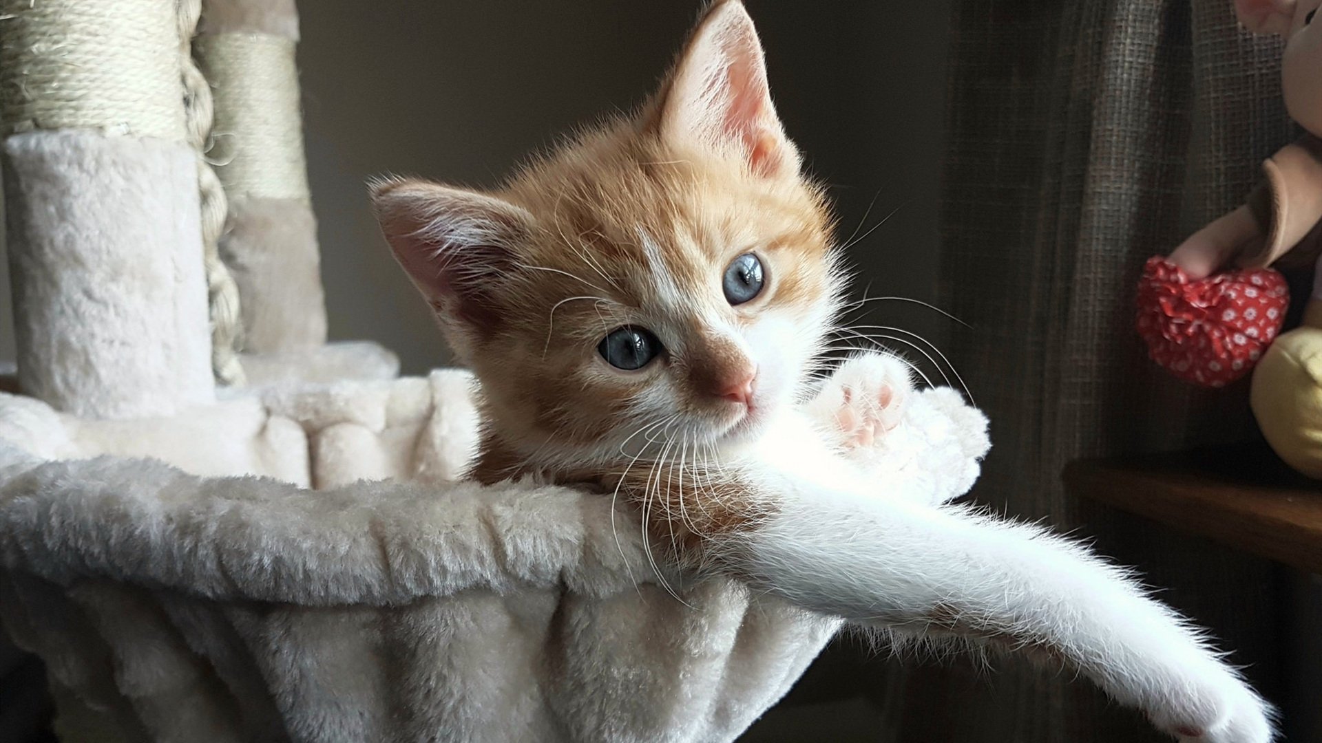 队员场下积极参与访谈活动塑造良好公众形象拉近粉丝距离，对参赛人员的采访问题